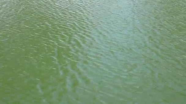 Кадри Озерної Води Рветься Вітрі — стокове відео