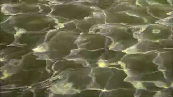 Πλάνα Καλλιτεχνικών Χρωμάτων Που Αλλάζουν Την Επιφάνεια Του Νερού Αντανακλώντας — Αρχείο Βίντεο