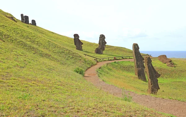 Μονοπάτια Ανάμεσα Βουνοπλαγιά Γεμάτη Από Εγκαταλελειμμένα Γιγαντιαία Αγάλματα Moai Στο — Φωτογραφία Αρχείου