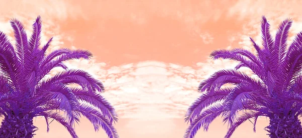Pop Art Surreal Style Pulzující Fialové Dvě Palmy Korálové Růžové — Stock fotografie