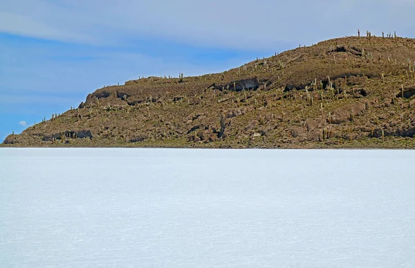 南美洲玻利维亚Uyuni盐滩 俗称Isla Del Pescado或Isla Incahuasi 上令人难以置信的落石 — 图库照片