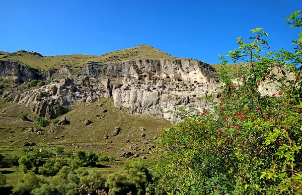 Panoramatický Pohled Vardzii Úžasný Středověký Jeskynní Klášter Vykopaný Svahů Erusheti — Stock fotografie