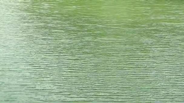 Filmación Agua Verde Esmeralda Del Lago Ondulando Viento — Vídeos de Stock