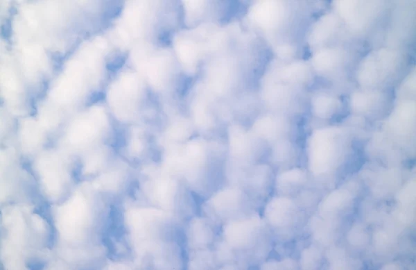 Неймовірний Бавовняний Білий Флюгер Altocumulus Clouds Blue Sky — стокове фото