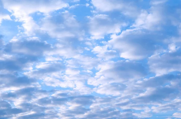 Дивовижні Хмари Альтокумула Літають Світло Блакитному Небі — стокове фото