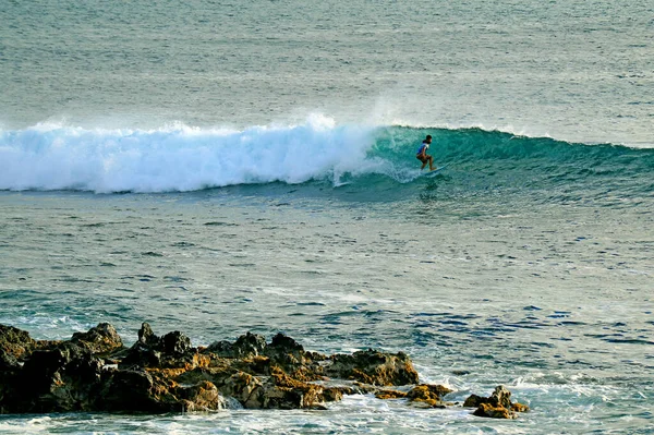 南美洲 伊斯特岛 Hanga Roa 一名有才华的冲浪选手在太平洋的大浪中驰骋 — 图库照片