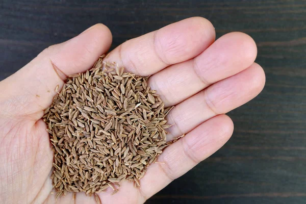 Dried Cumin Seeds Pile in Hand on Black Wooden Background
