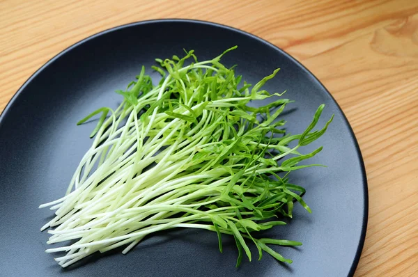 Lempeng Freshly Harvested Water Spinach Hydroponic Microgreens Wooden Background — Stok Foto