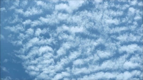 Fantastic White Clouds Spreading Flowing Vibrant Blue Sky Time Lapse — Αρχείο Βίντεο