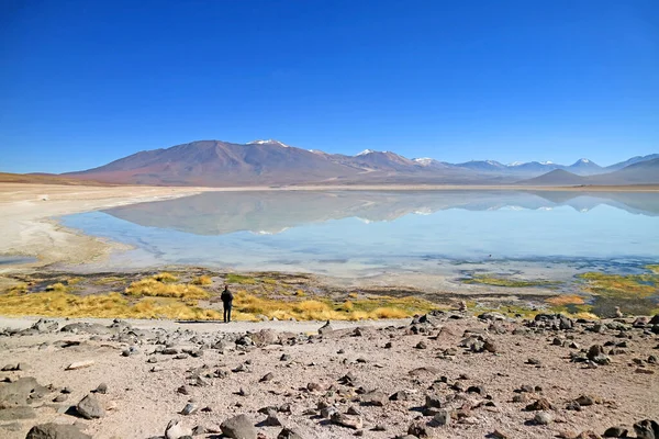Laguna Blanca White Lake Eduardo Avaroa Andean Fauna National Reserve — Stock Fotó