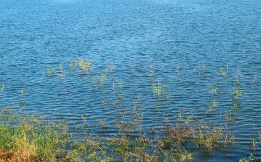 Güzel mavi su gün ışığında dalgalanır.