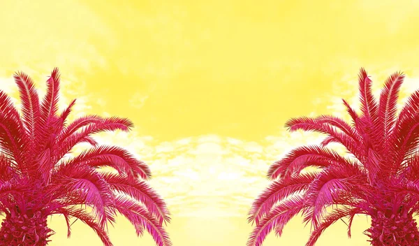 Surreal Pop Art Style Hot Pink Palm Trees Yellow Sky — Stockfoto