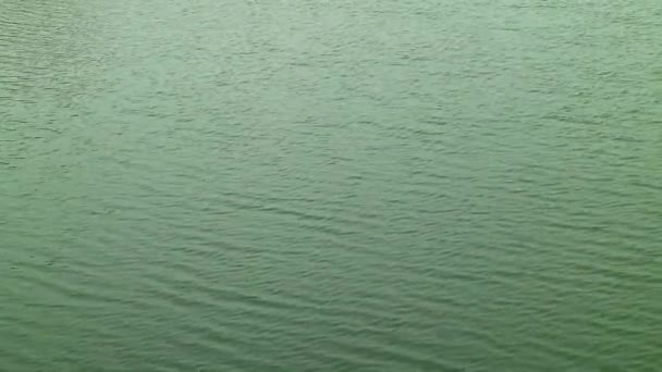 Footage Emerald Green Lake Water Rippling Wind — ストック動画