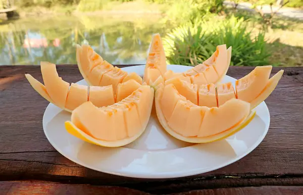 Plate Delectable Juicy Fresh Cantaloupe Melon Slices — Zdjęcie stockowe