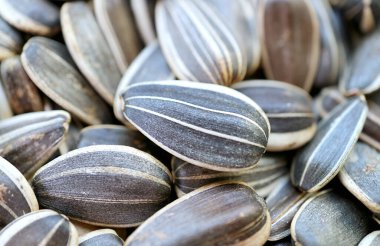 Closeup of raw sunflower seed hulls pattern and texture