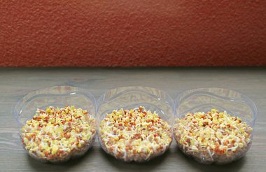 Hydroponic Kaiware Daikon Sprouts Germination in Reuse PET Water Bottles as Edible Houseplants