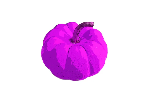 Illustration Des Pop Art Stils Amazing Vivid Purple Pumpkin Isolated — Stockfoto