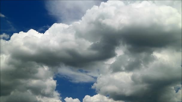 雨期に流れる白と灰色の積雲のタイムラプス映像 — ストック動画