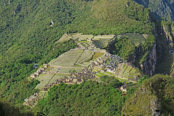 Machu Picchu Ancienne Citadelle Inca Vue Montagne Huayna Picchu Forme — Photo