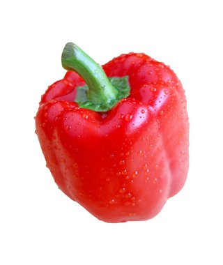 Beyaz zemin üzerinde su damlacıkları olan kırmızı bir dolma biberin yakın plan görüntüsü