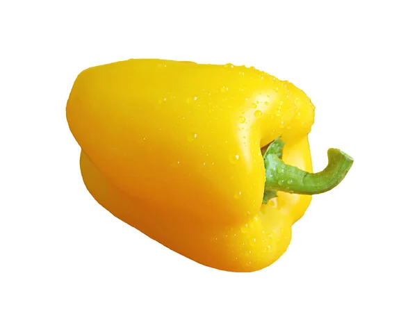 白色背景下分离的带水滴的鲜黄色甜椒 — 图库照片