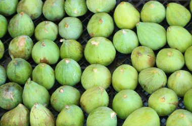 Yerel pazarda satılık taze taze incir sıraları.