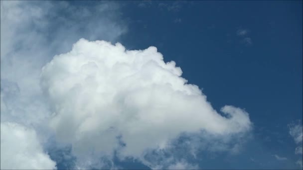 Хмари Пухнастого Білого Кумулуса Плавають Яскравих Блакитних Кадрах Часу — стокове відео