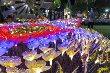 CHIANG MAI, THAILAND - Şubat 02 2022: Yapay kelebekler festival sırasında parkı aydınlatıyor. Chaloem Phrakiat Parkı 'nda renkli çiçek tarlaları ve çeşitli heykeller bulunmaktadır..