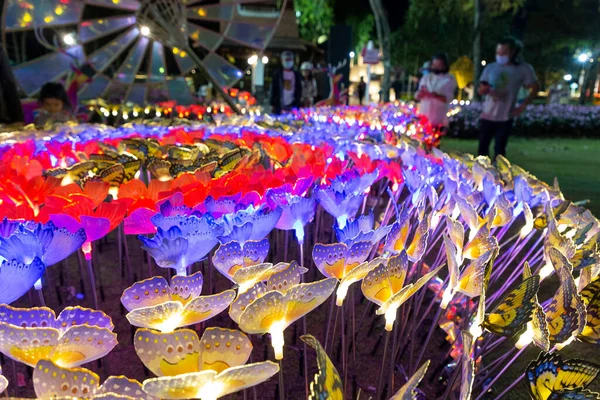 CHIANG MAI, THAILAND - Şubat 02 2022: Yapay kelebekler festival sırasında parkı aydınlatıyor. Chaloem Phrakiat Parkı 'nda renkli çiçek tarlaları ve çeşitli heykeller bulunmaktadır..