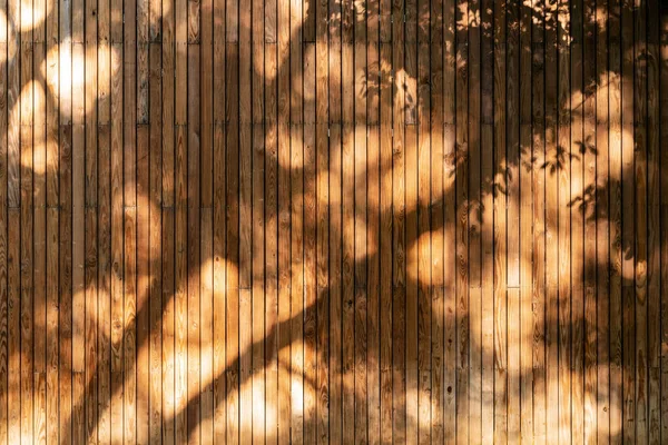 Shadow Nature Leaves Old Grunge Damaged Wooden Background — Stock Photo, Image