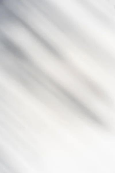 Shadow Plam Urlopu Białym Tle Teksturowane — Zdjęcie stockowe