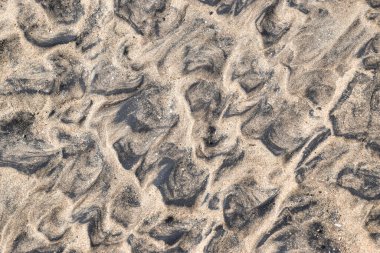 Arap Okyanusu 'nun siyah ve sarı kumlu sahili.