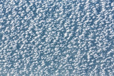 Ice textured background