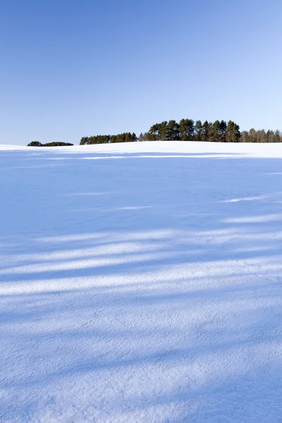 Kalter Winter — Stockfoto