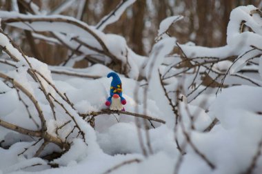 Karlı bir ormanda bir cüce figürü..