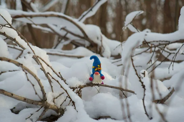 Figure Dwarf Snowy Forest — Stock Photo, Image