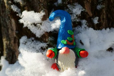 Ağaç zemininde küçük bir cüce.