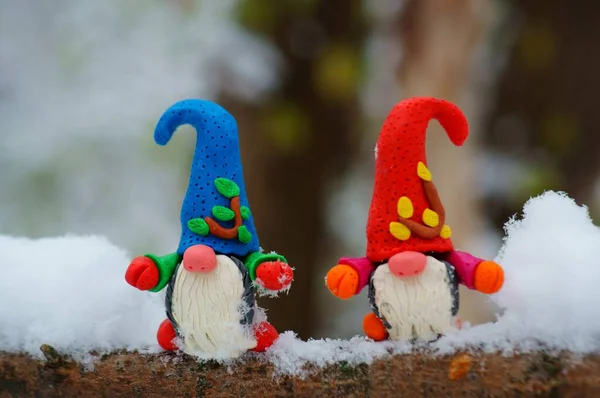 Figures Multi Colored Gnomes Tree Branch Christmas Decorations — Stock Photo, Image