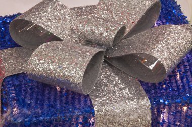 mavi ve gümüş Noel hediyesi