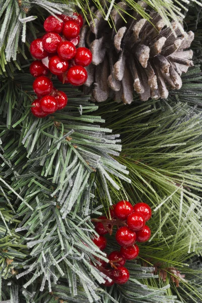 Традиционные рождественские сосновые сосны и ягоды — стоковое фото