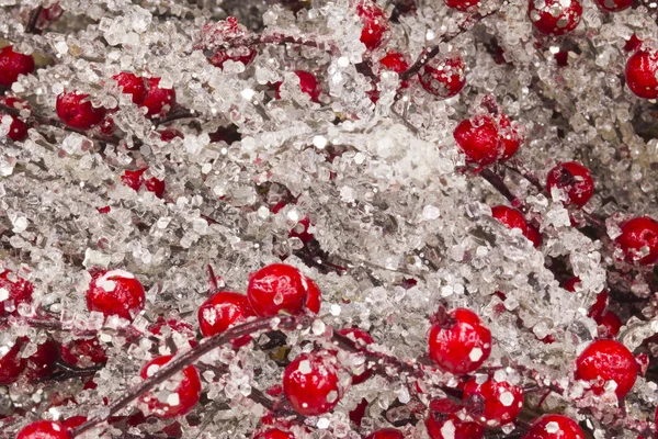 Christmas Ice and Berries