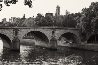 Paris Pont neuf Köprüsü