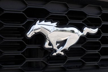 Elkhart - Mayıs 2022: Ford Mustang bir galeride sergileniyor. Mustang 'ler temel model olan GT, Mach 1 veya Shelby GT500 ile sipariş edilebilir..
