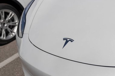 Indianapolis - Yaklaşık Haziran 2022: Tesla EV elektrikli araçlar sergilenmektedir. Tesla ürünleri arasında elektrikli arabalar, batarya enerji deposu ve güneş panelleri yer alıyor.