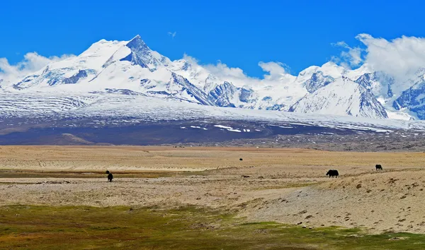 Himalayas. View from the Tibetan plateau. — ストック写真