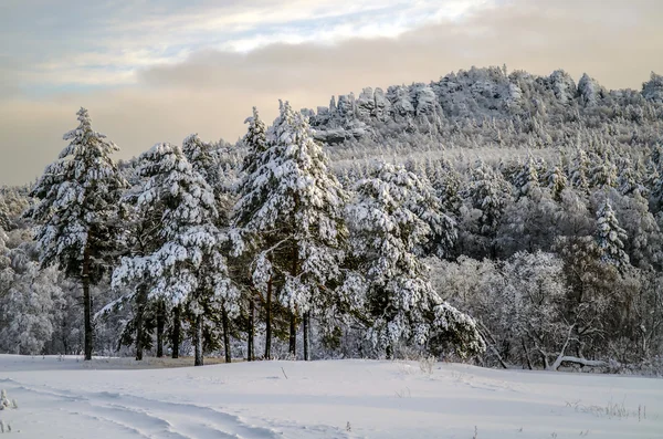 ฤดูหนาวในภูเขาของ Urals — ภาพถ่ายสต็อก