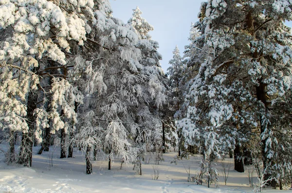 Winter in the mountains of the Urals — Stock Photo, Image