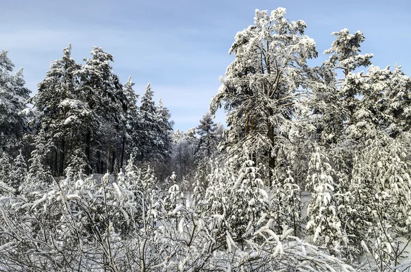 우랄 산맥에 겨울 — 스톡 사진