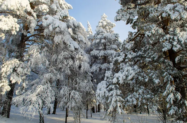 Invierno en las montañas de los Urales — Foto de Stock