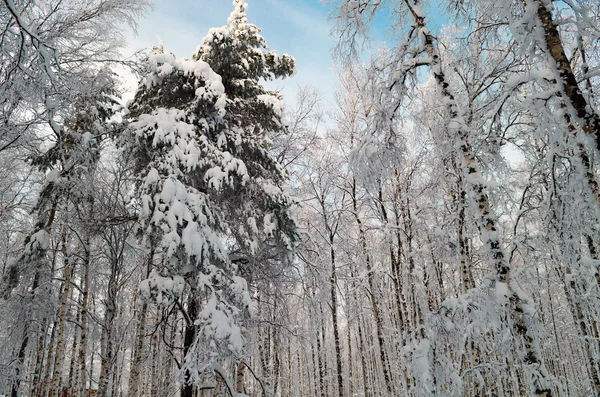 Winter in de bergen van de Oeral — Stockfoto